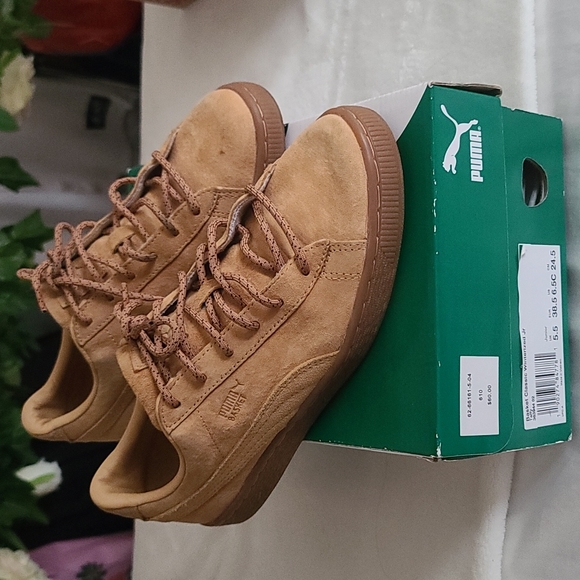 Pumas - Picture 1 of 4